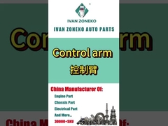 Marca Ivanzoneko - gama completa de braços de controlo