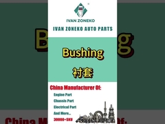 Ivan Zoneko - Buscando