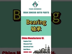 Ivan Zoneko- Rolamento