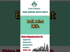 Ivan Zoneko - Joelho de bola